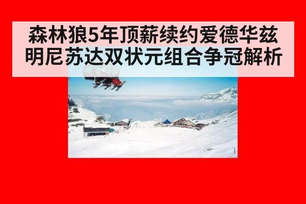 森林狼5年顶薪续约爱德华兹 明尼苏达双状元组合争冠解析