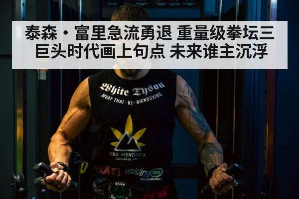 泰森·富里急流勇退 重量级拳坛三巨头时代画上句点 未来谁主沉浮